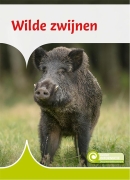 Wilde zwijnen