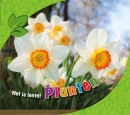 Planten