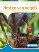 Nesten van vogels