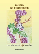 Buster de Foxterrier