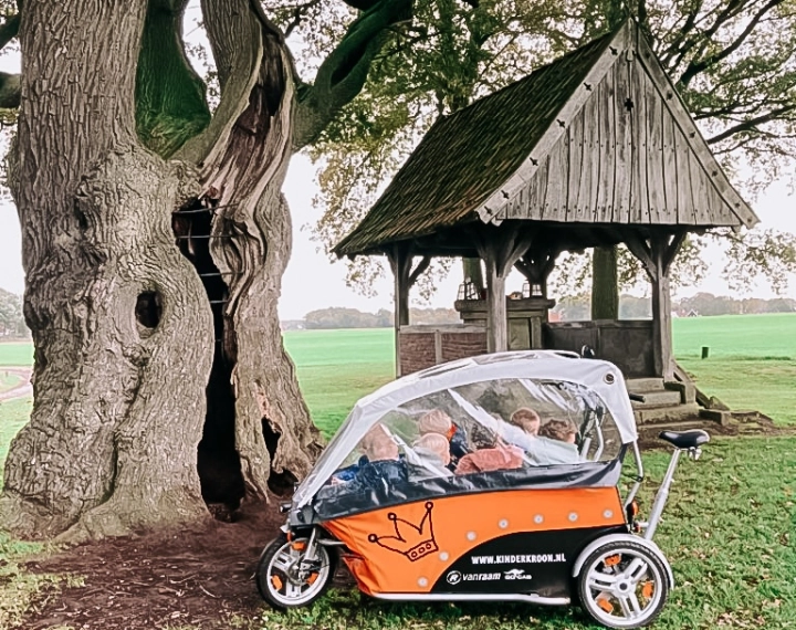FL Ekroezenboom