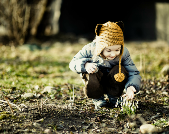 Shutterstock 134014952 copy