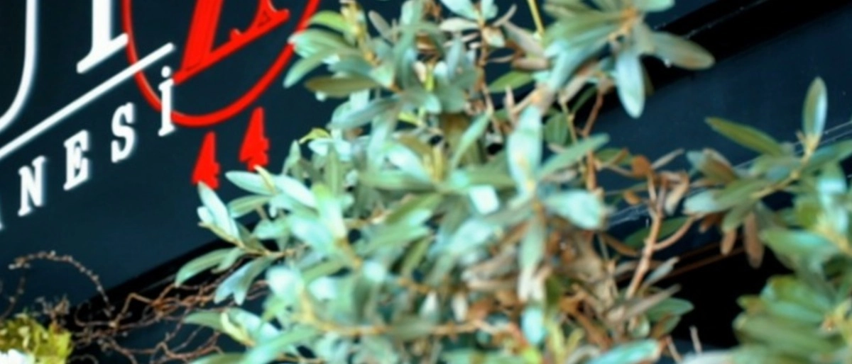 "Zennup 1844'ün Hikayesi"