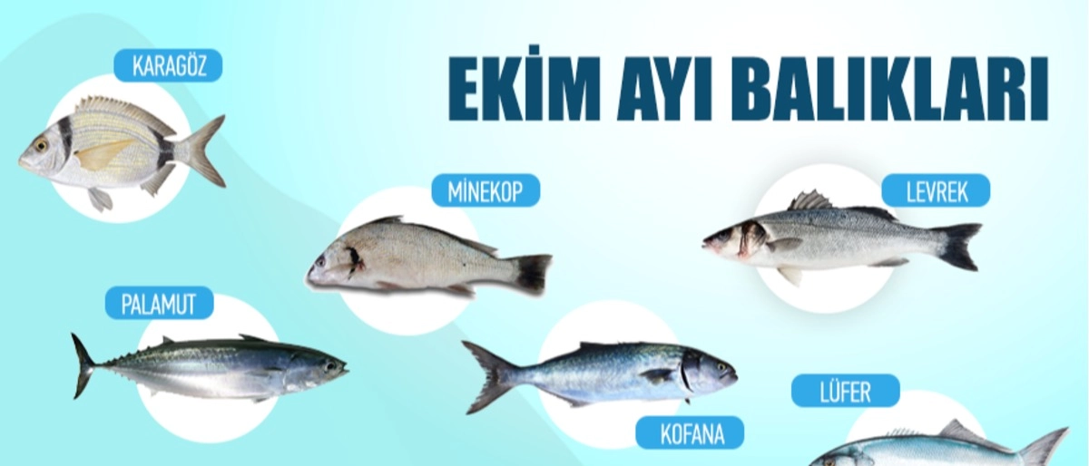 Ekim Ayında Hangi Balıklar Yenir?