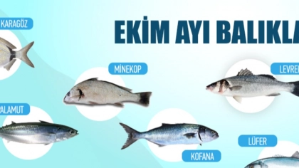 Ekim Ayında Hangi Balıklar Yenir?