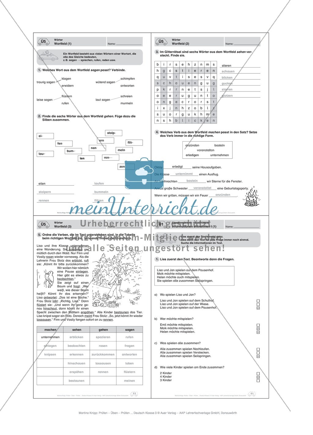 Wörter, Wortfeld: Führerschein-Übungsaufgaben und Lösung Preview 4