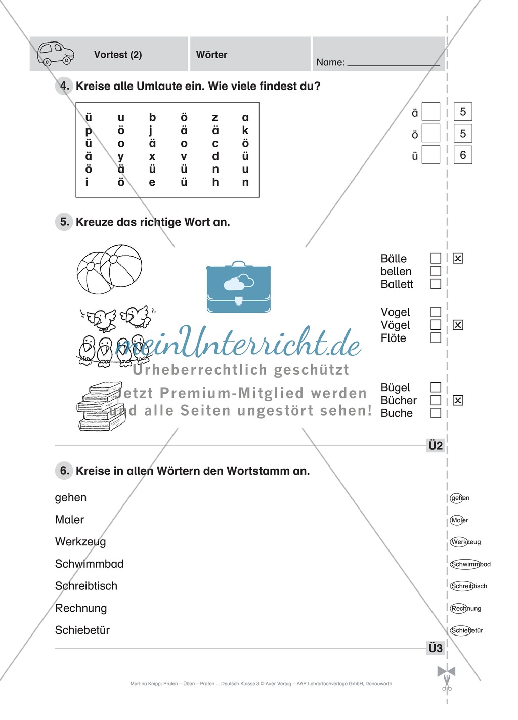 Wörter: Führerschein (Vortest, Testaufgaben, Führerschein-Vorlage) Preview 4