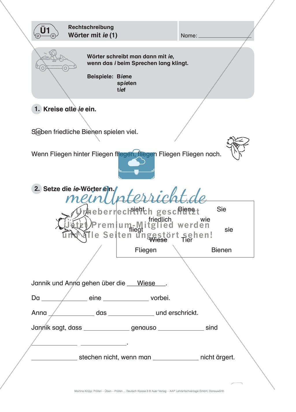 Rechtschreibung, Wörter mit ie: Führerschein-Übungsaufgaben und Lösung Preview 1