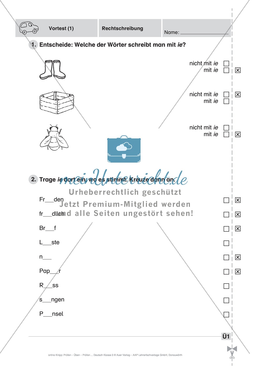 Rechtschreibung: Führerschein (Vortest, Testaufgaben, Führerschein-Vorlage) Preview 3