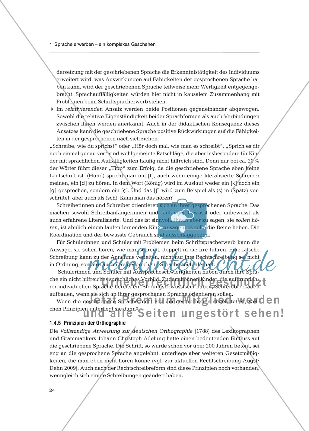 Sprachförderung in der Primarstufe - Spracherwerb: Fachdidaktischer Beitrag Preview 13