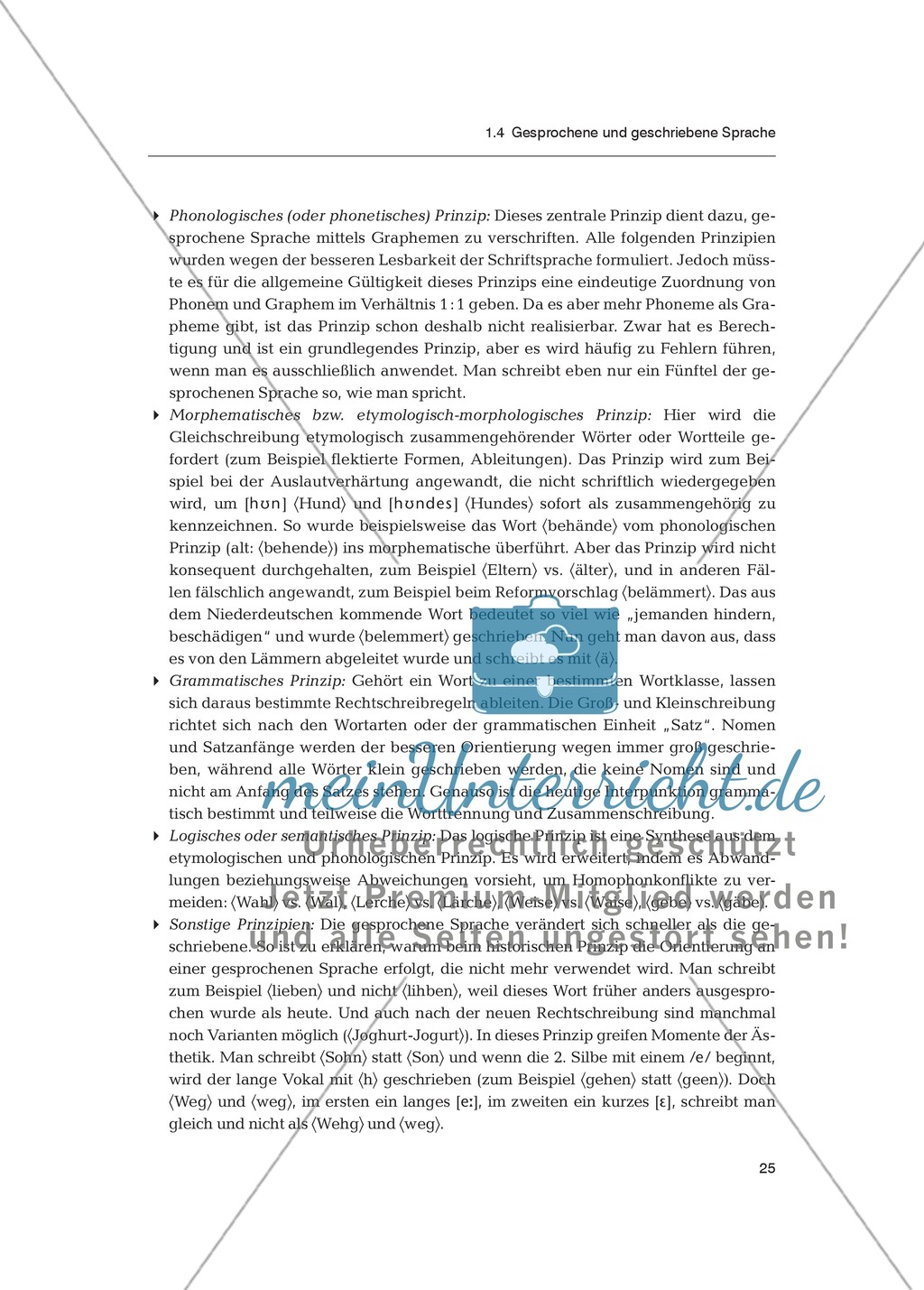 Sprachförderung in der Primarstufe - Spracherwerb: Fachdidaktischer Beitrag Preview 14