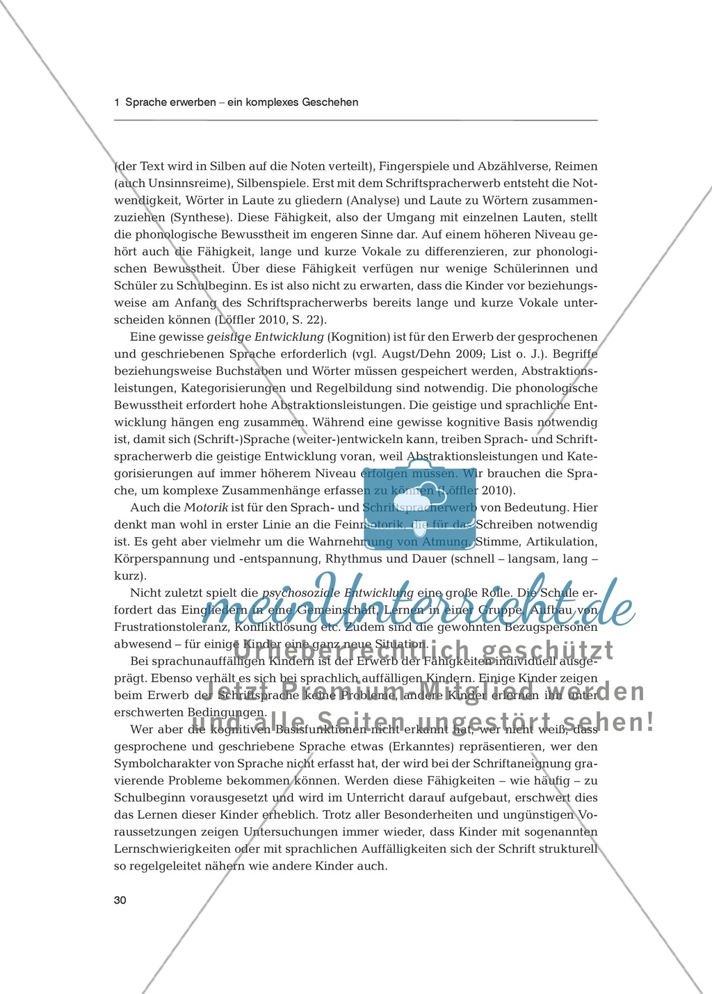 Sprachförderung in der Primarstufe - Spracherwerb: Fachdidaktischer Beitrag Preview 19