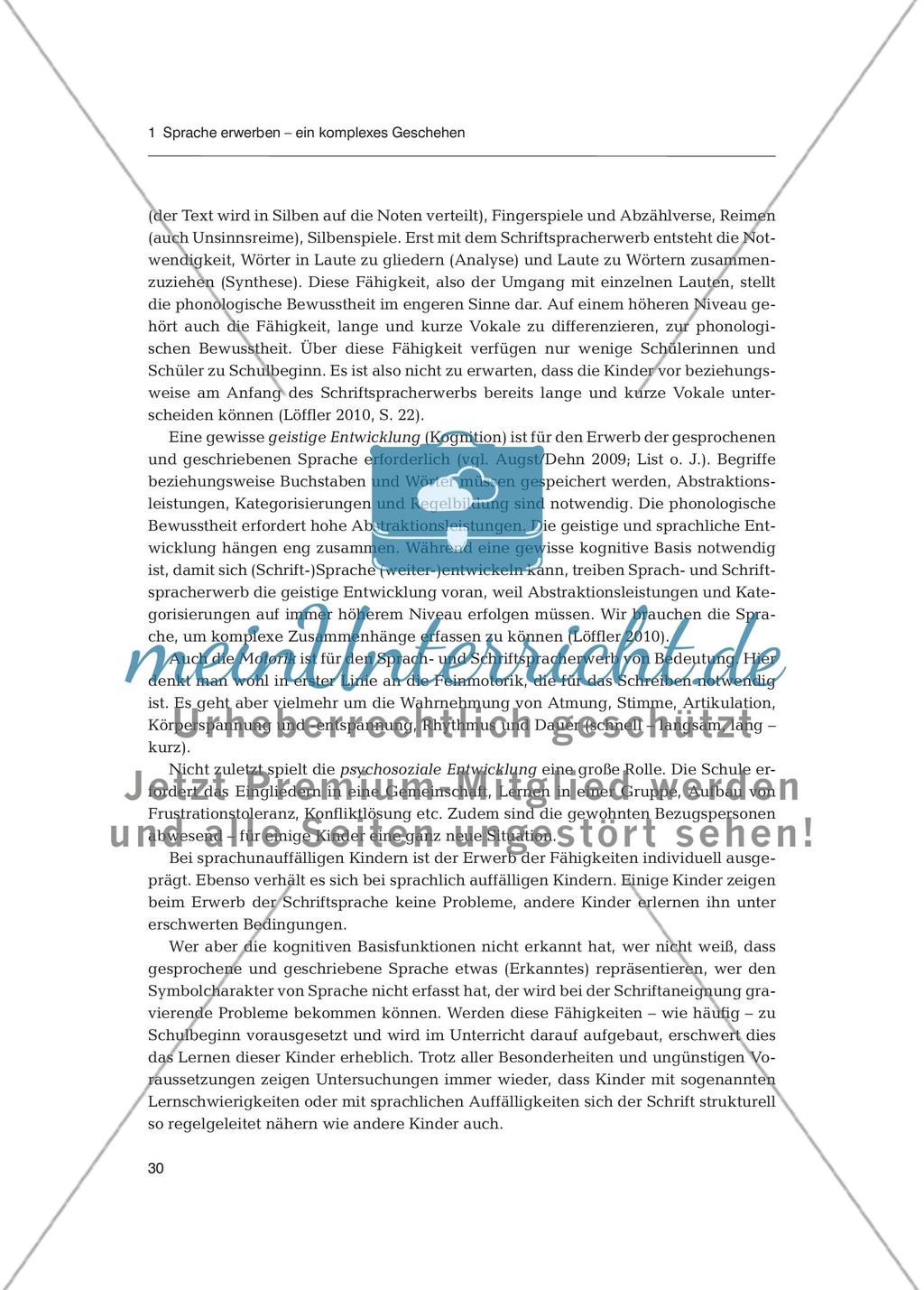 Sprachförderung in der Primarstufe - Spracherwerb: Fachdidaktischer Beitrag Preview 19