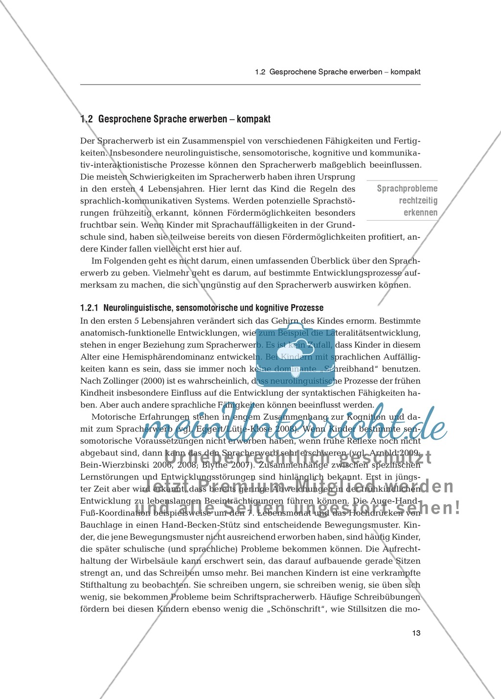 Sprachförderung in der Primarstufe - Spracherwerb: Fachdidaktischer Beitrag Preview 2