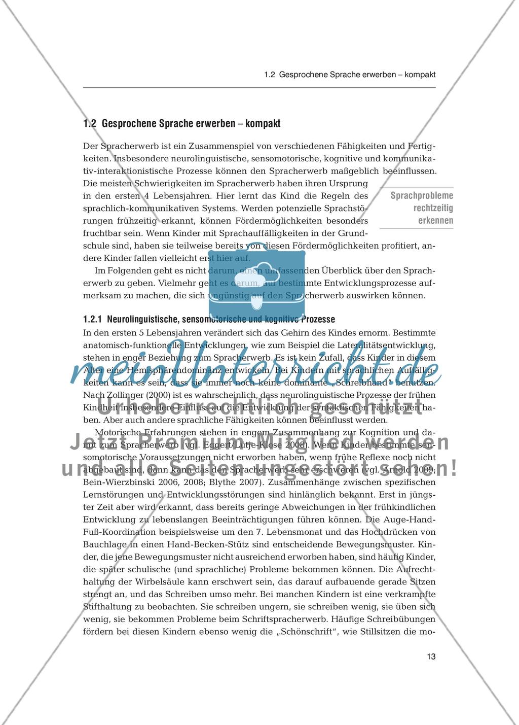Sprachförderung in der Primarstufe - Spracherwerb: Fachdidaktischer Beitrag Preview 2