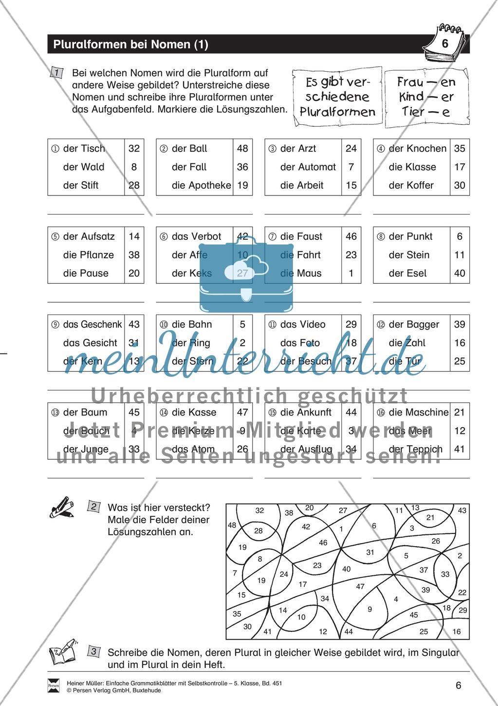 Pluralformen bei Nomen: Übung + Lösung Preview 2