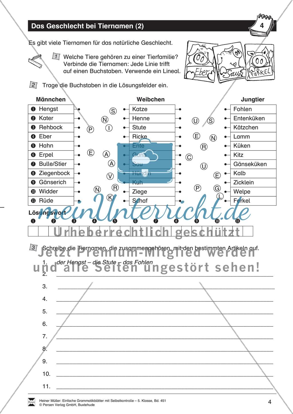 Bestimmte und unbestimmte Artikel: Übung + Lösung Preview 1