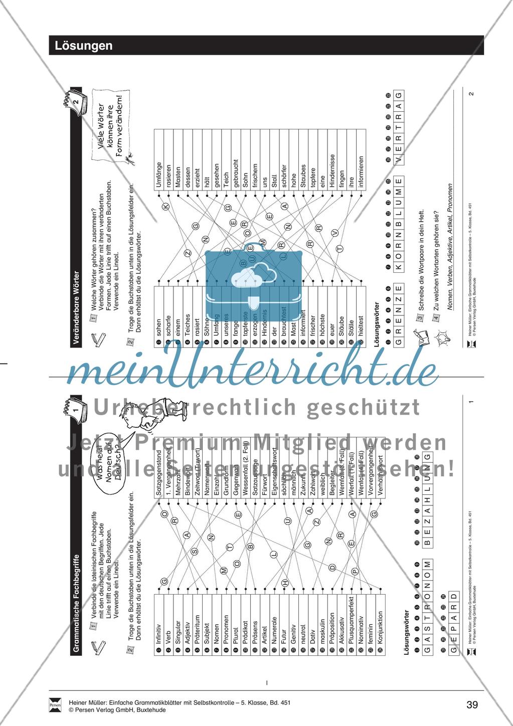 Das Geschlecht bei Tiernamen: Übung + Lösung Preview 3