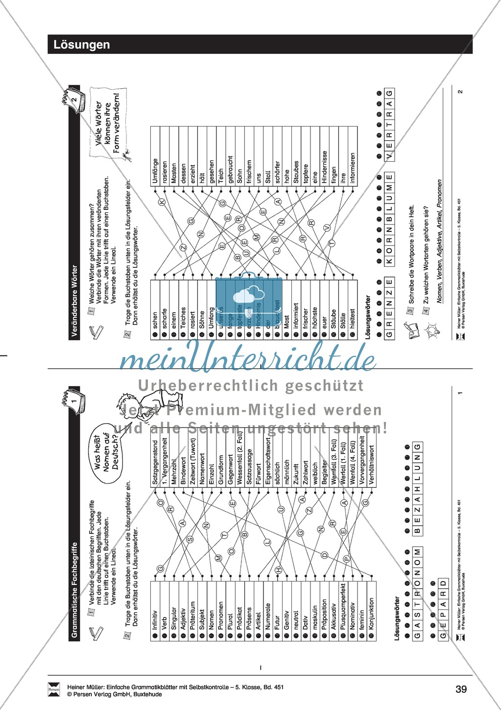Veränderbare Wörter: Übung + Lösung Preview 2