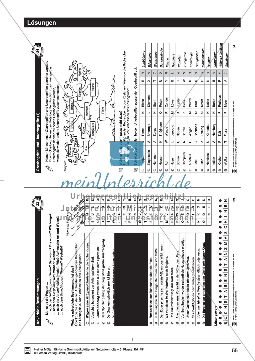 Adverbiale Bestimmungen: Übung + Lösung Preview 2