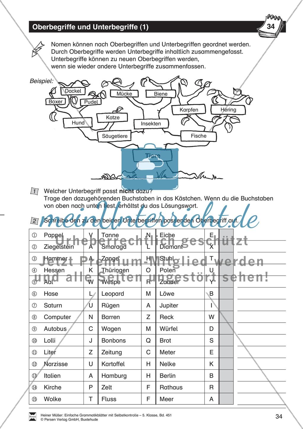 Ober- und Unterbegriffe: Übungen + Lösungen Preview 2