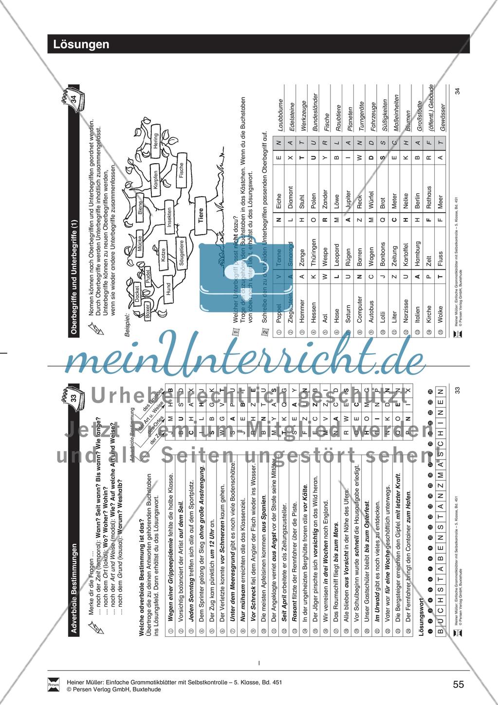 Ober- und Unterbegriffe: Übungen + Lösungen Preview 4