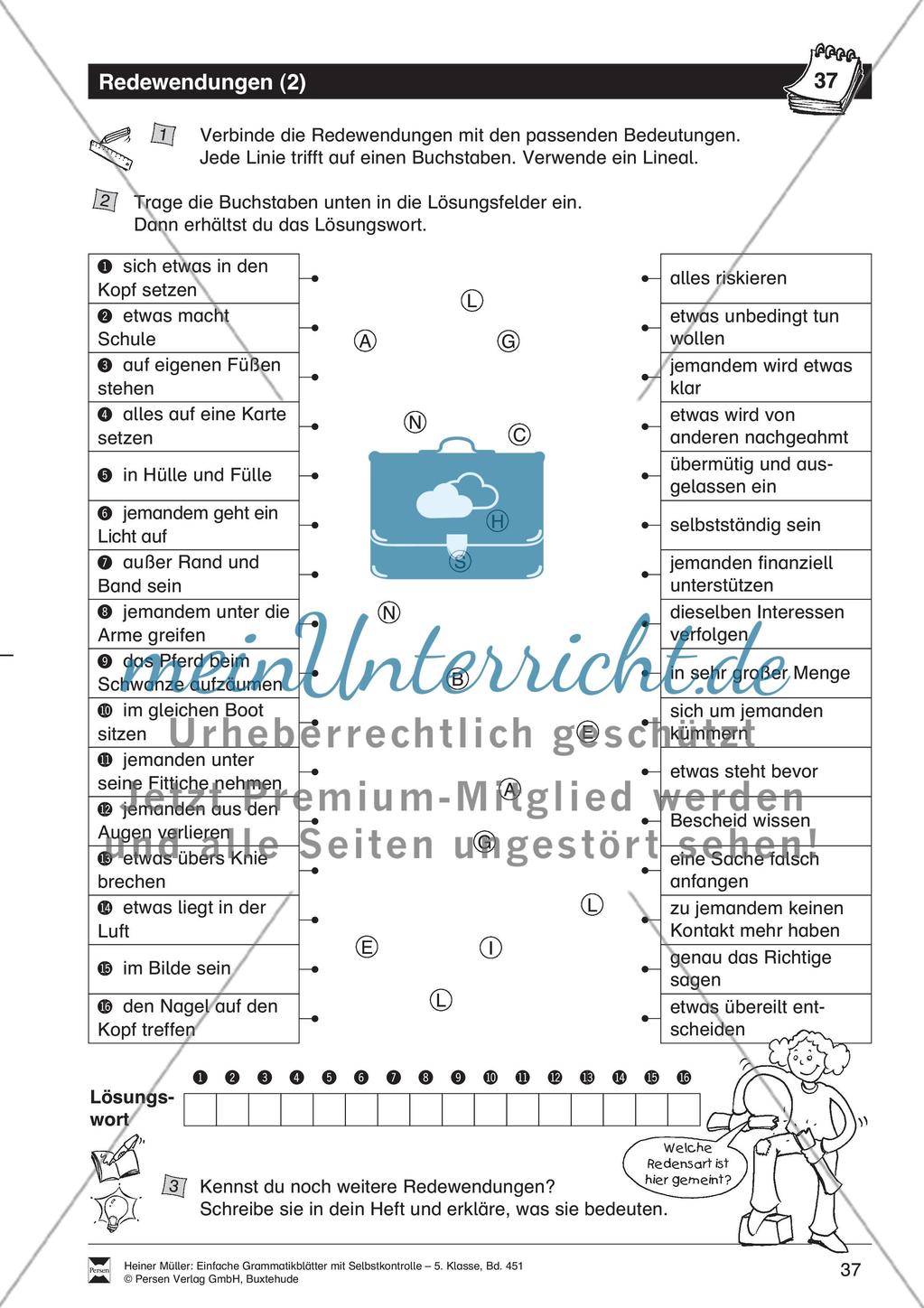 Homonyme: Übung + Lösung Preview 1