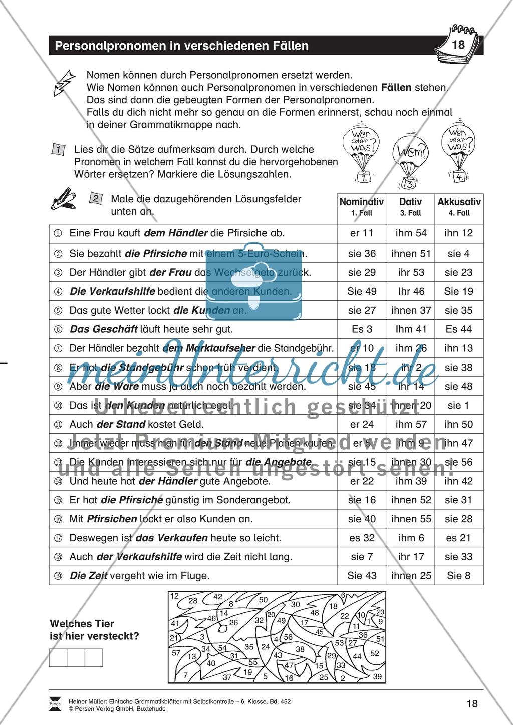 Anredepronomen in Briefen: Übungen und Lösung Preview 1