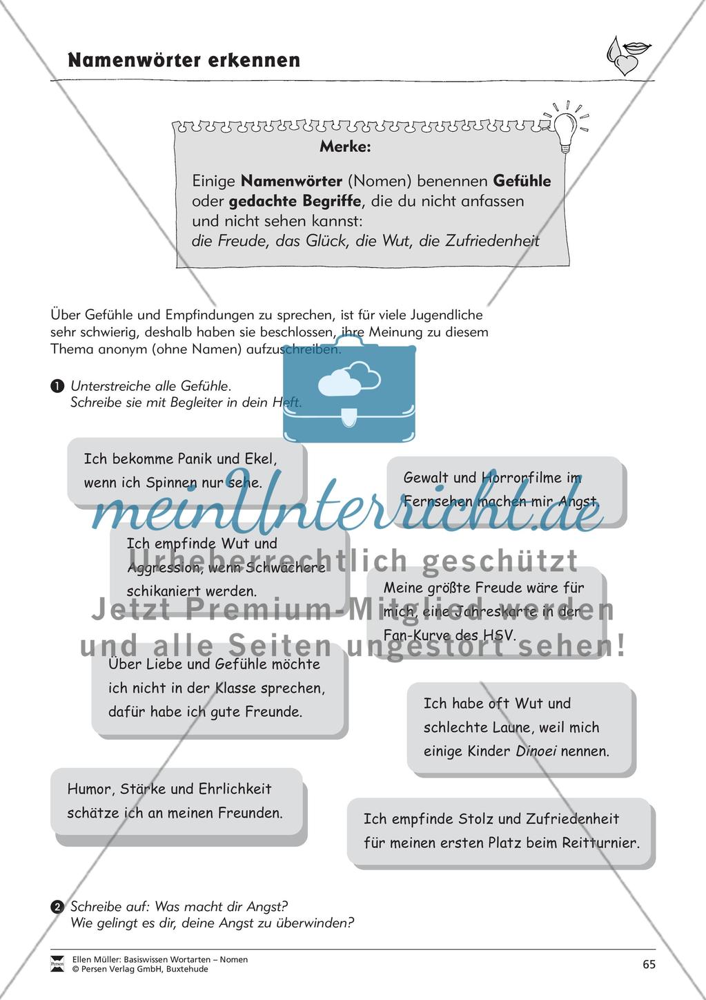 Namenwörter erkennen: Gefühle und Begriffe: Arbeitsblätter und Test Preview 1