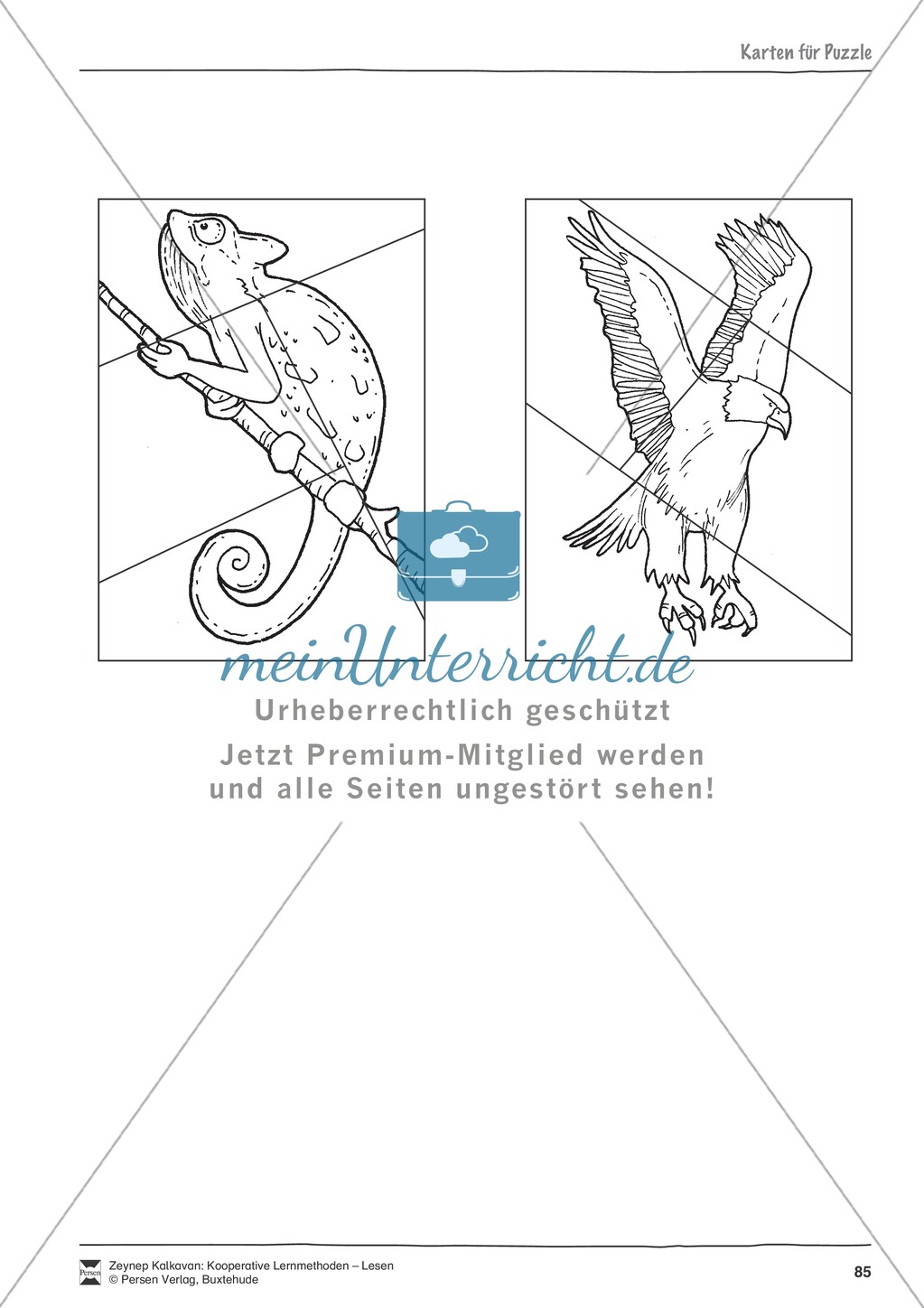 Kooperative Leseförderung: Arbeitshilfen + Symbolkarten für Gruppeneinteilung Preview 4
