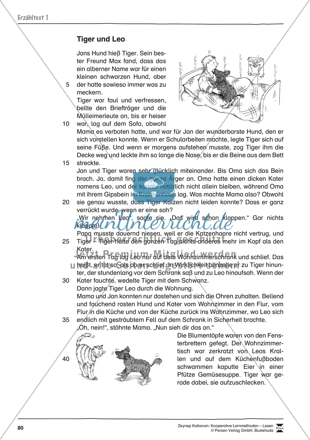 Unterrichtsbeispiele: Erzähl- und Sachtexte am Beispiel einer Tierkartei: Arbeitshinweise und Arbeitsblätter Preview 15