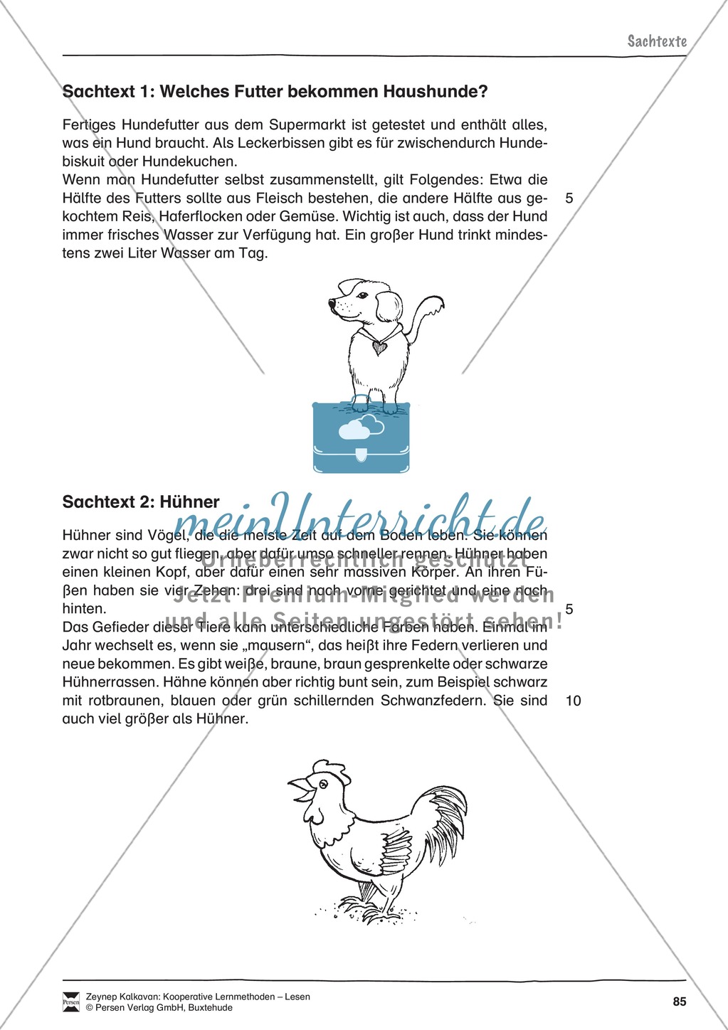 Unterrichtsbeispiele: Erzähl- und Sachtexte am Beispiel einer Tierkartei: Arbeitshinweise und Arbeitsblätter Preview 20