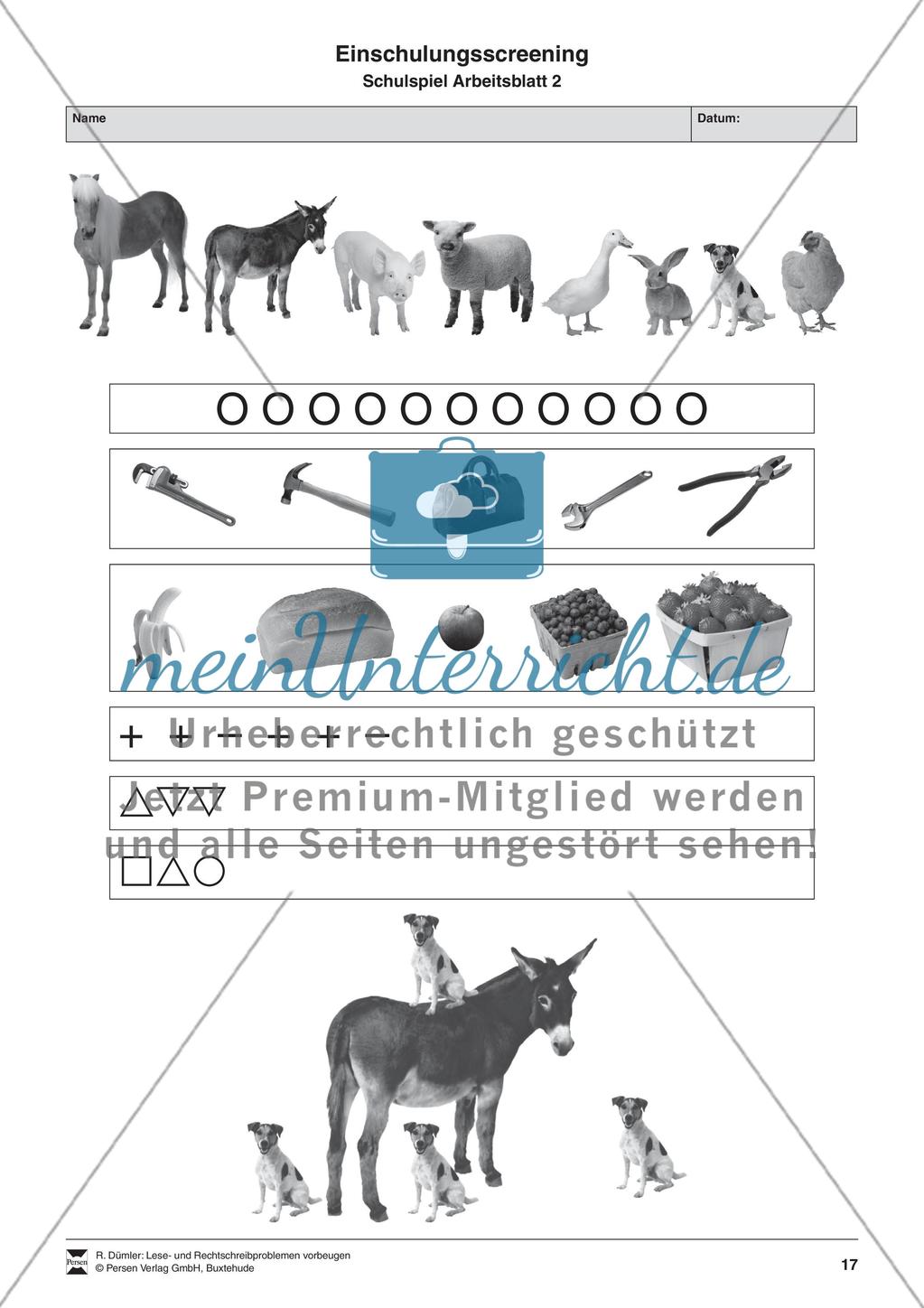 Bausteine für das Fundament: Beobachtungsbögen Preview 10