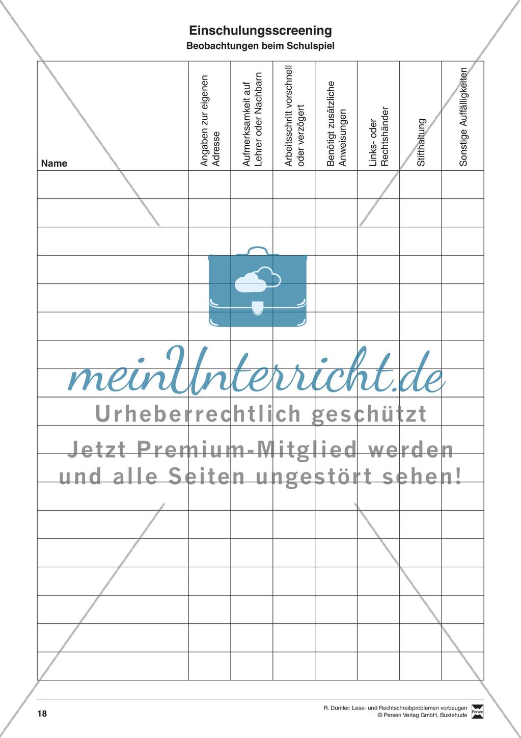 Bausteine für das Fundament: Beobachtungsbögen Preview 11