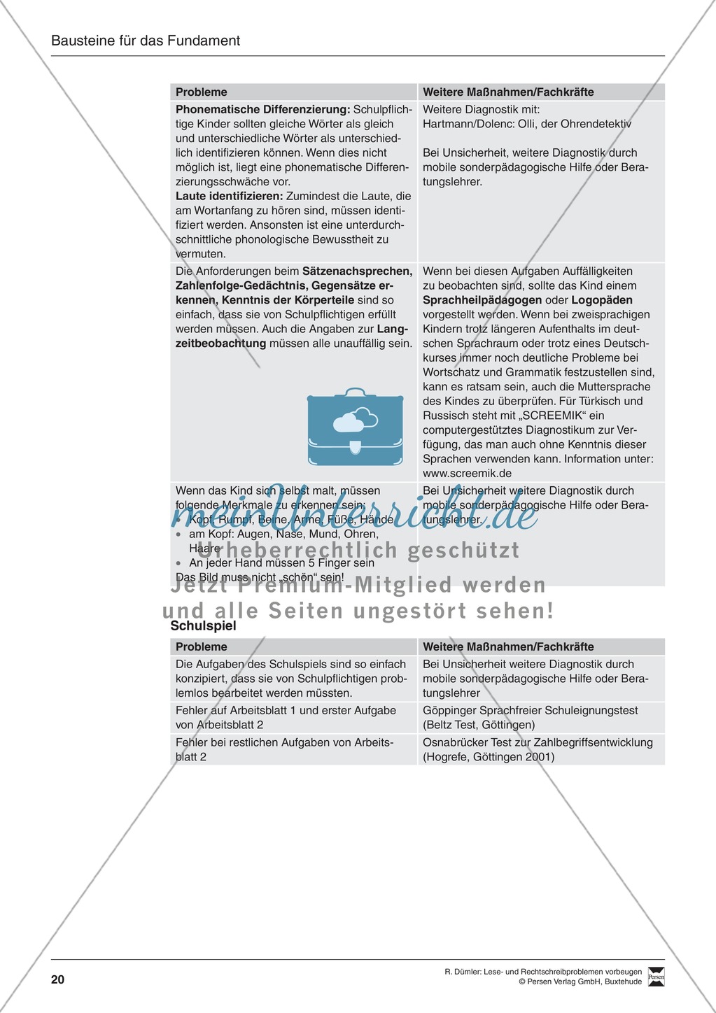 Bausteine für das Fundament: Beobachtungsbögen Preview 13