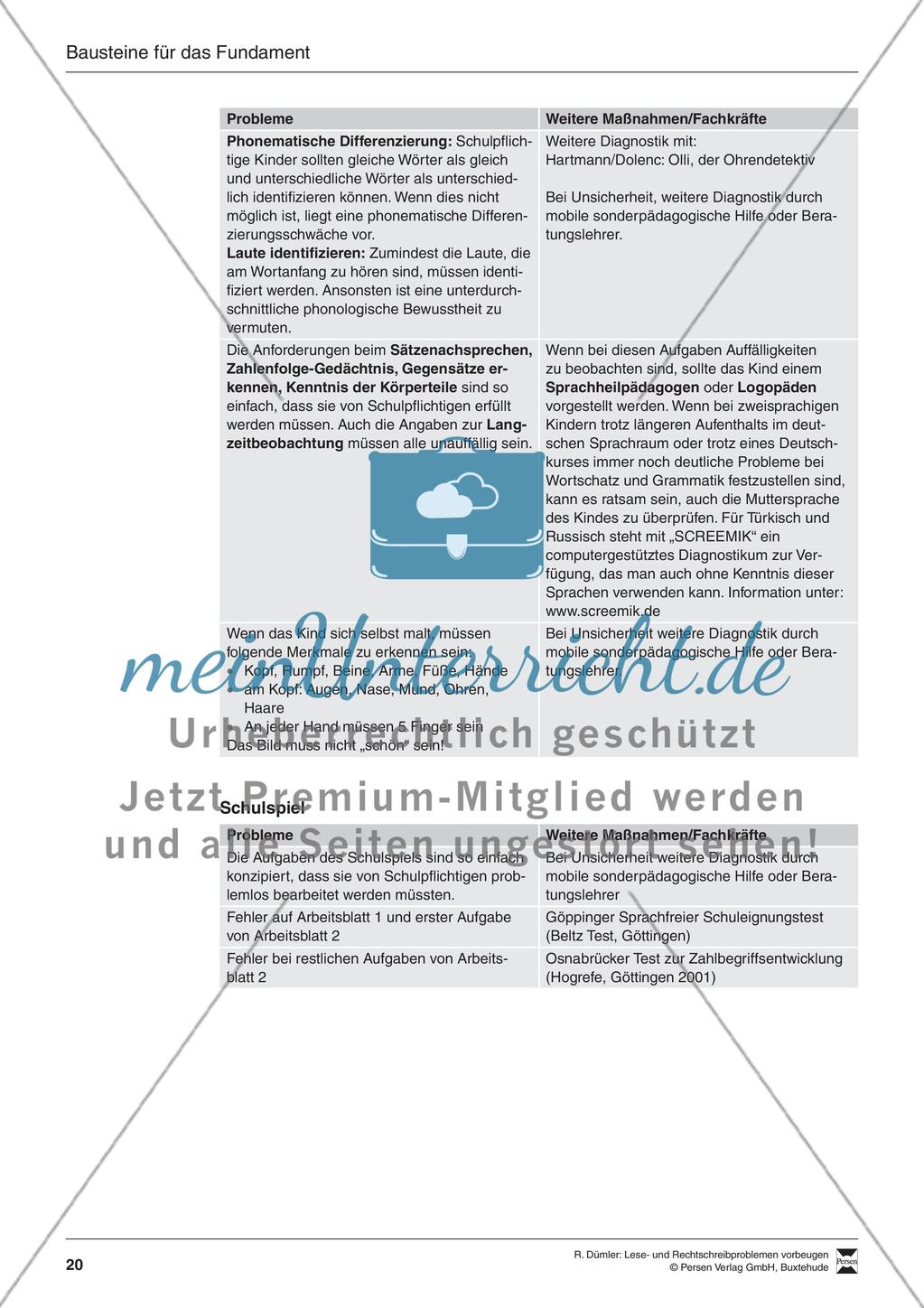 Bausteine für das Fundament: Beobachtungsbögen Preview 13