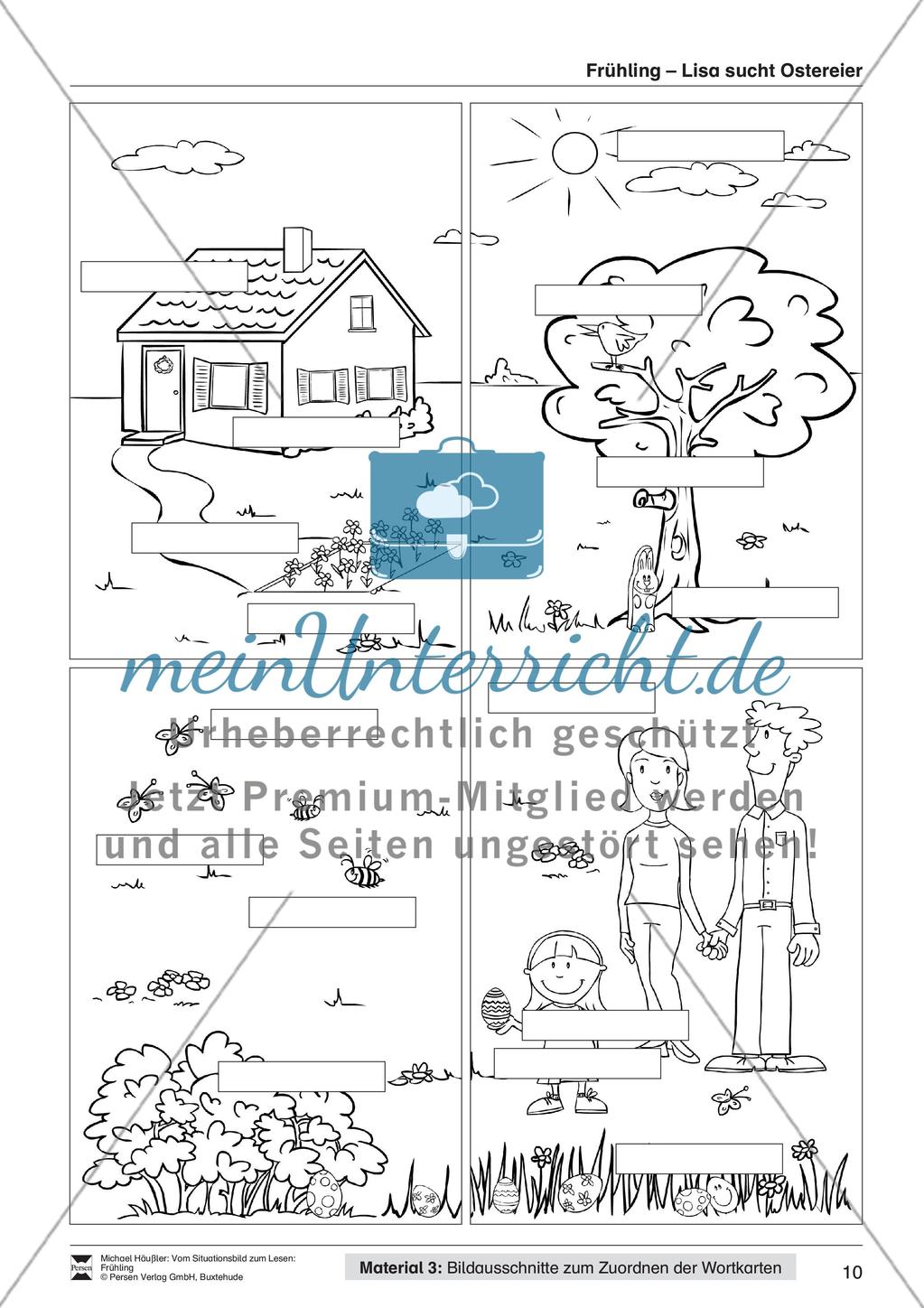 Vom Situationsbild zum Lesen, Thema Frühling: Unterrichtsentwurf und Materialien komplett Preview 11
