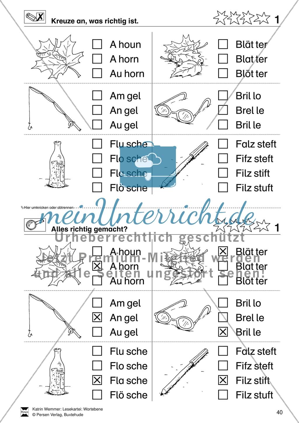 Leseförderung Wortebene: Schwierigkeitsgrad 3/4: Lesekartei mit Arbeisblättern und Lösungen Preview 14