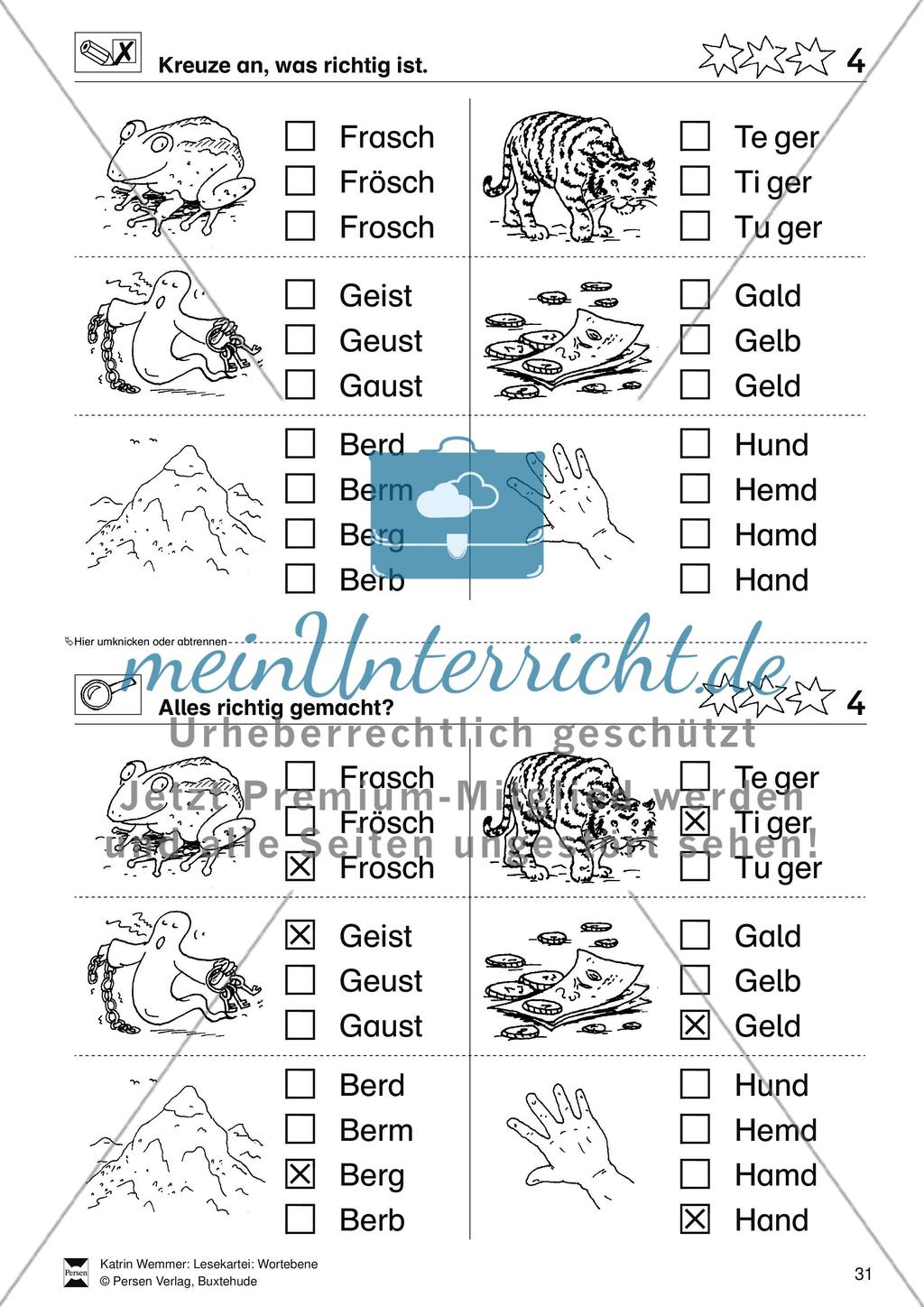 Leseförderung Wortebene: Schwierigkeitsgrad 3/4: Lesekartei mit Arbeisblättern und Lösungen Preview 5