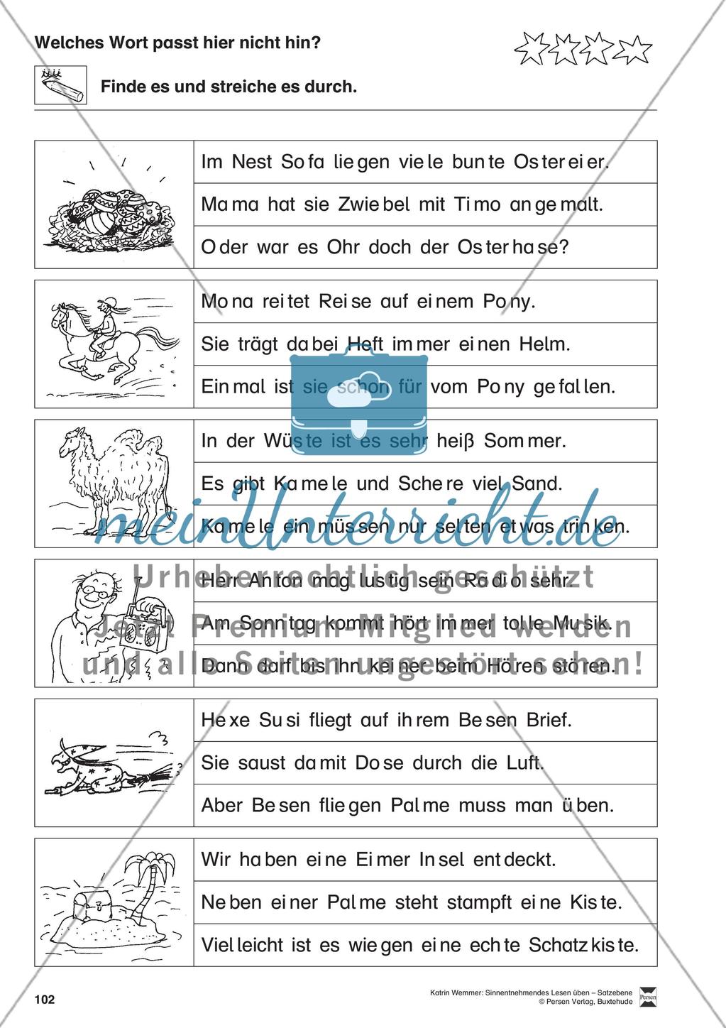 Sinnentnehmendes Lesen üben - Satzebene: