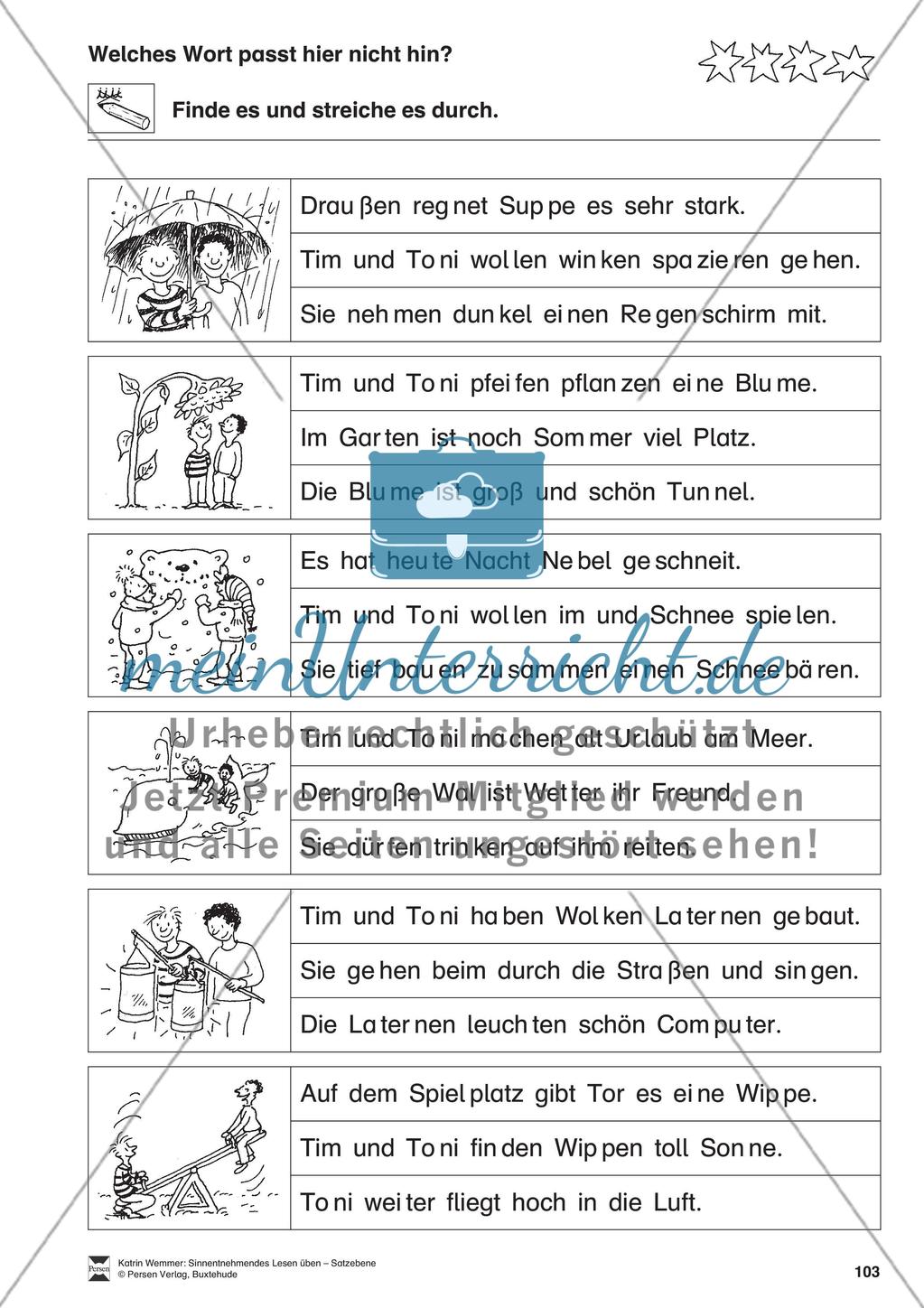 Sinnentnehmendes Lesen üben - Satzebene: