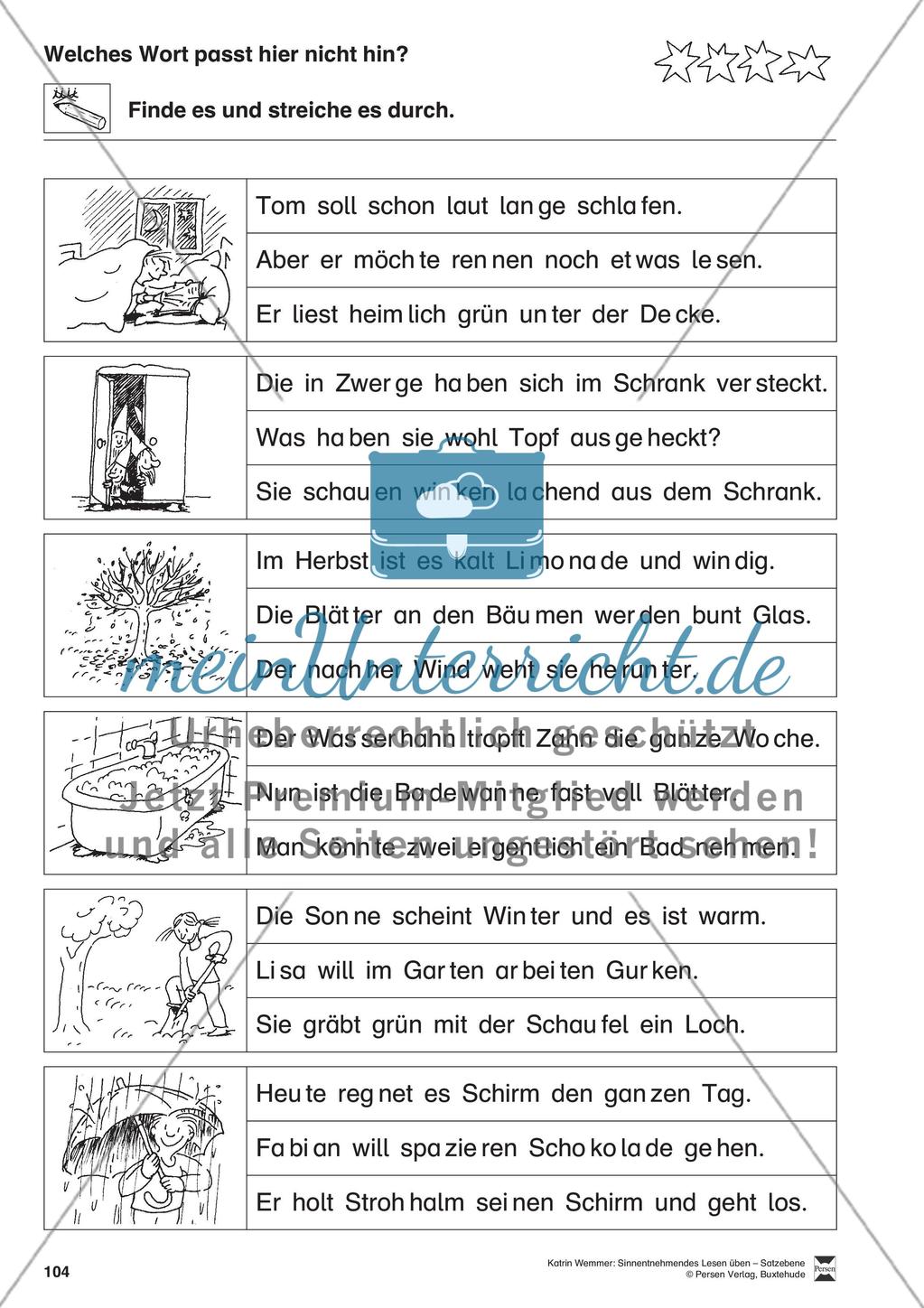 Sinnentnehmendes Lesen üben - Satzebene: