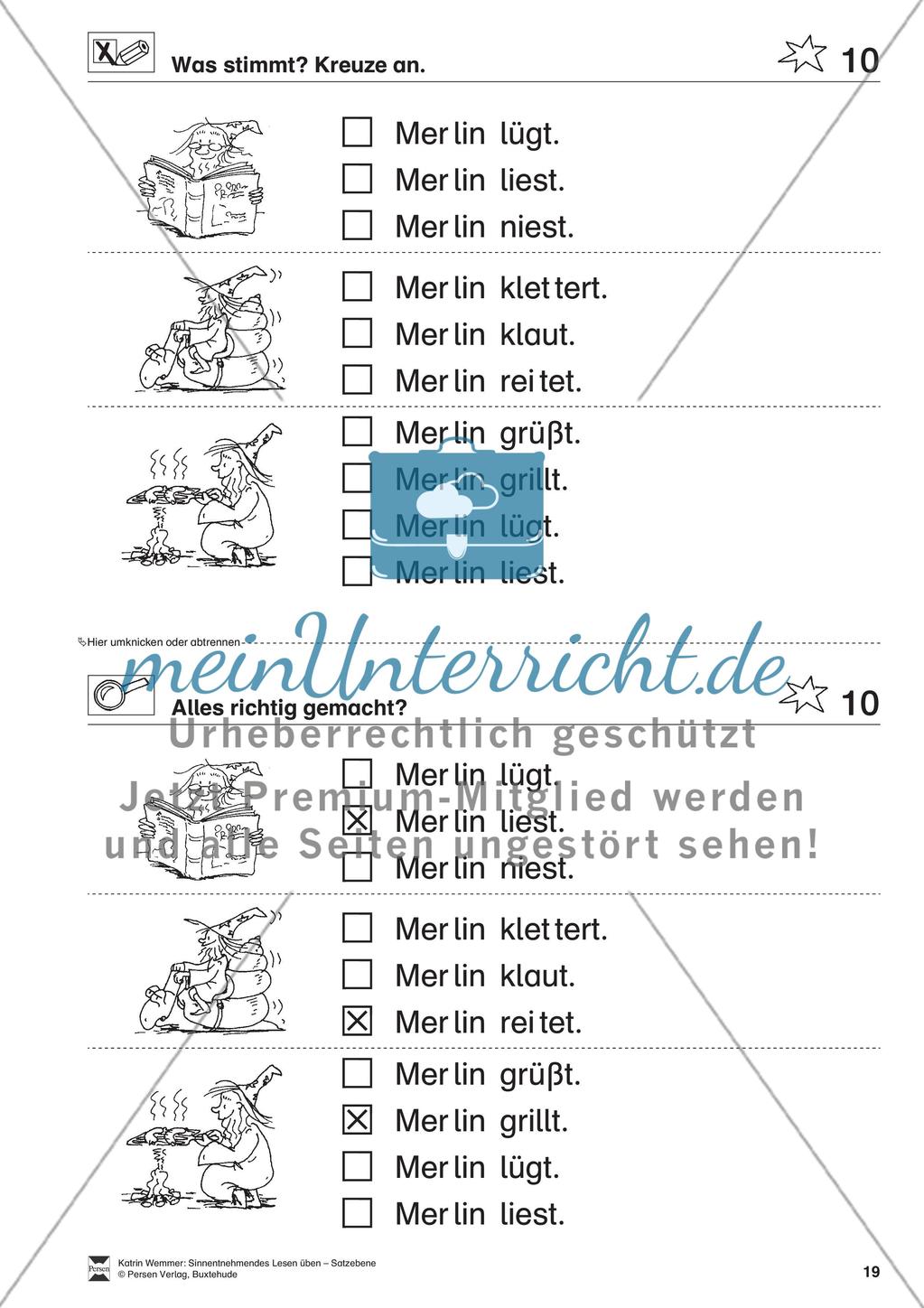 Sinnentnehmendes Lesen üben - Satzebene: