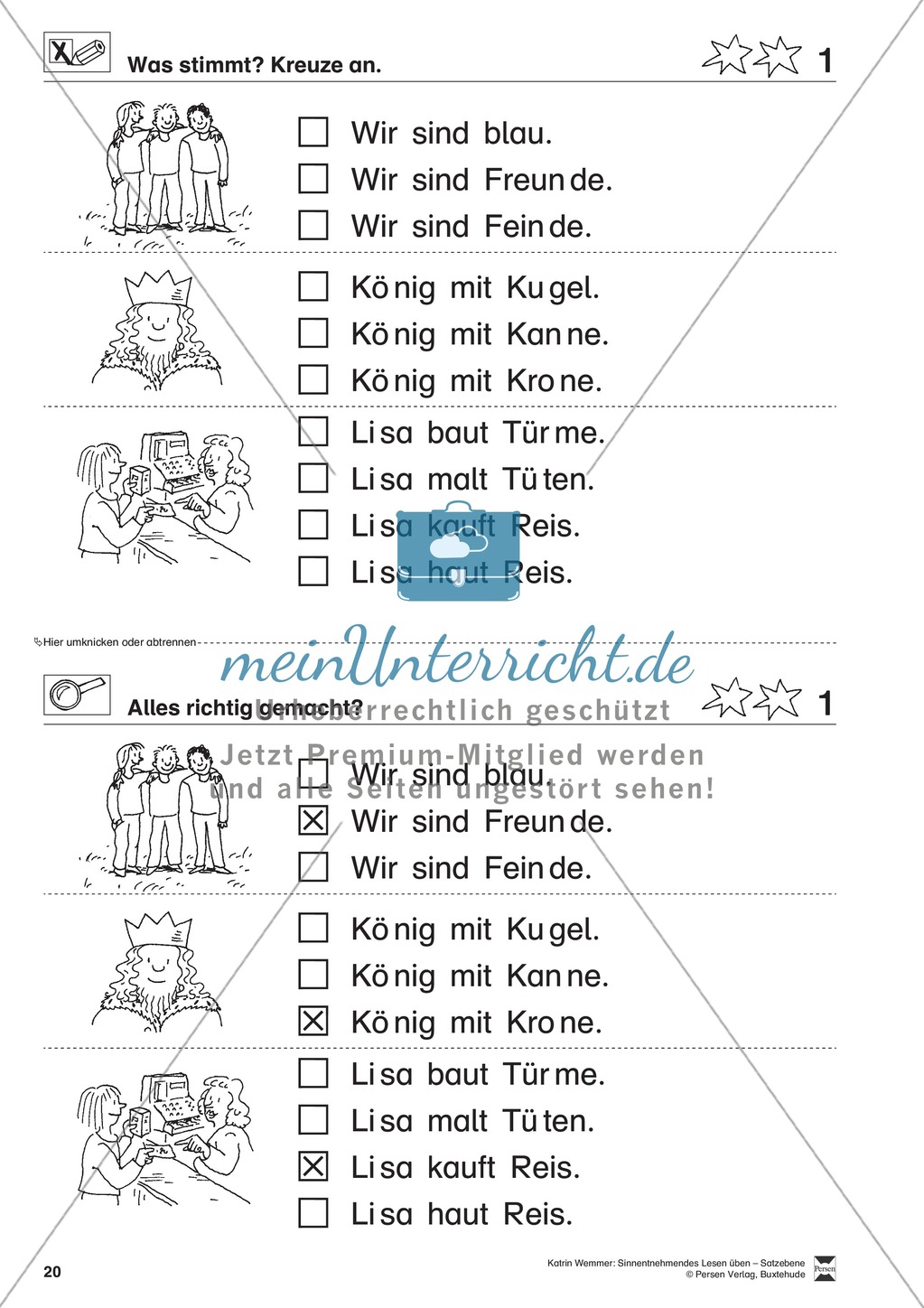 Sinnentnehmendes Lesen üben - Satzebene: