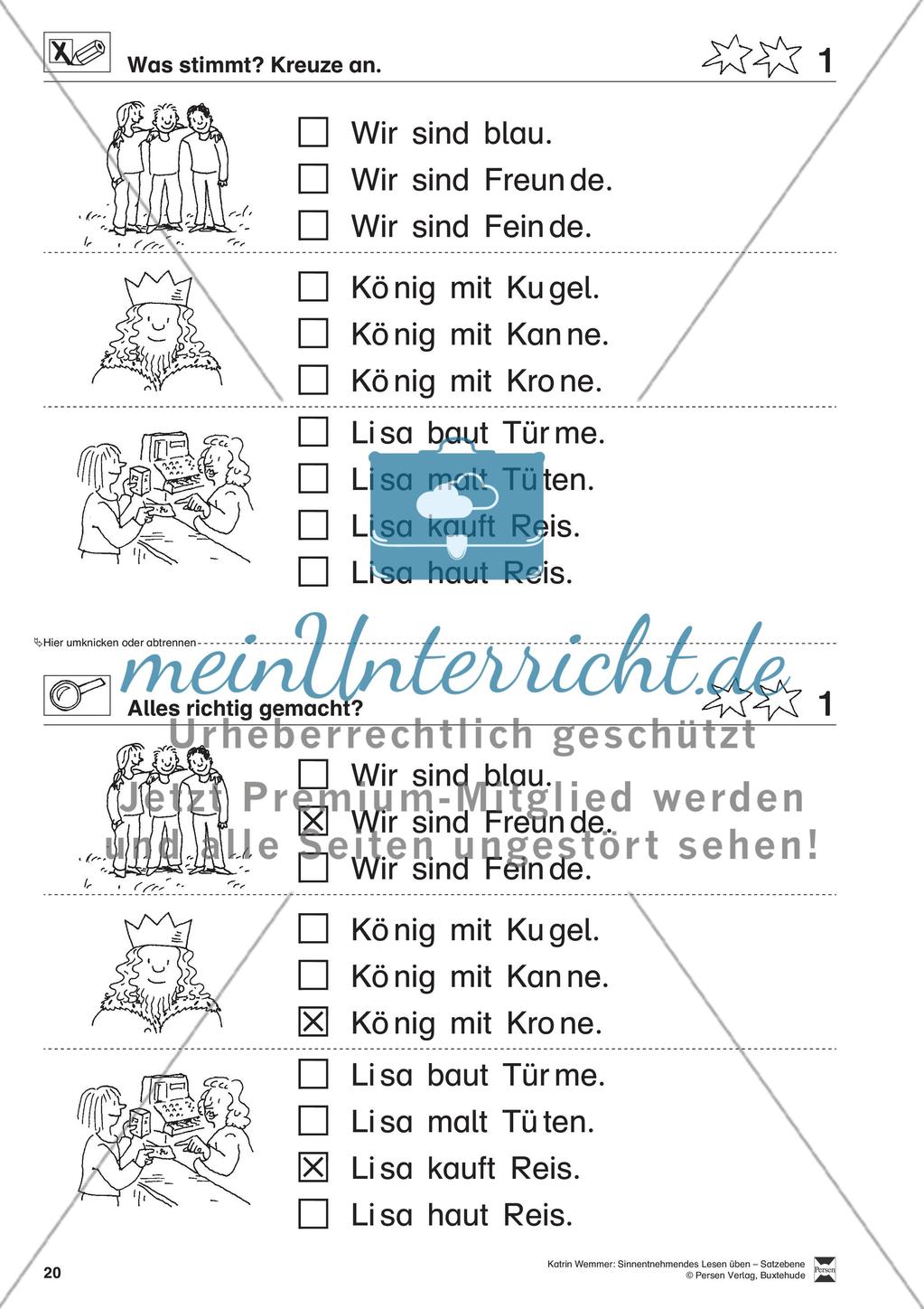 Sinnentnehmendes Lesen üben - Satzebene: