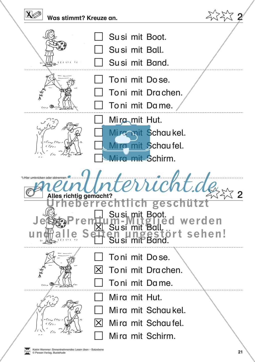 Sinnentnehmendes Lesen üben - Satzebene: