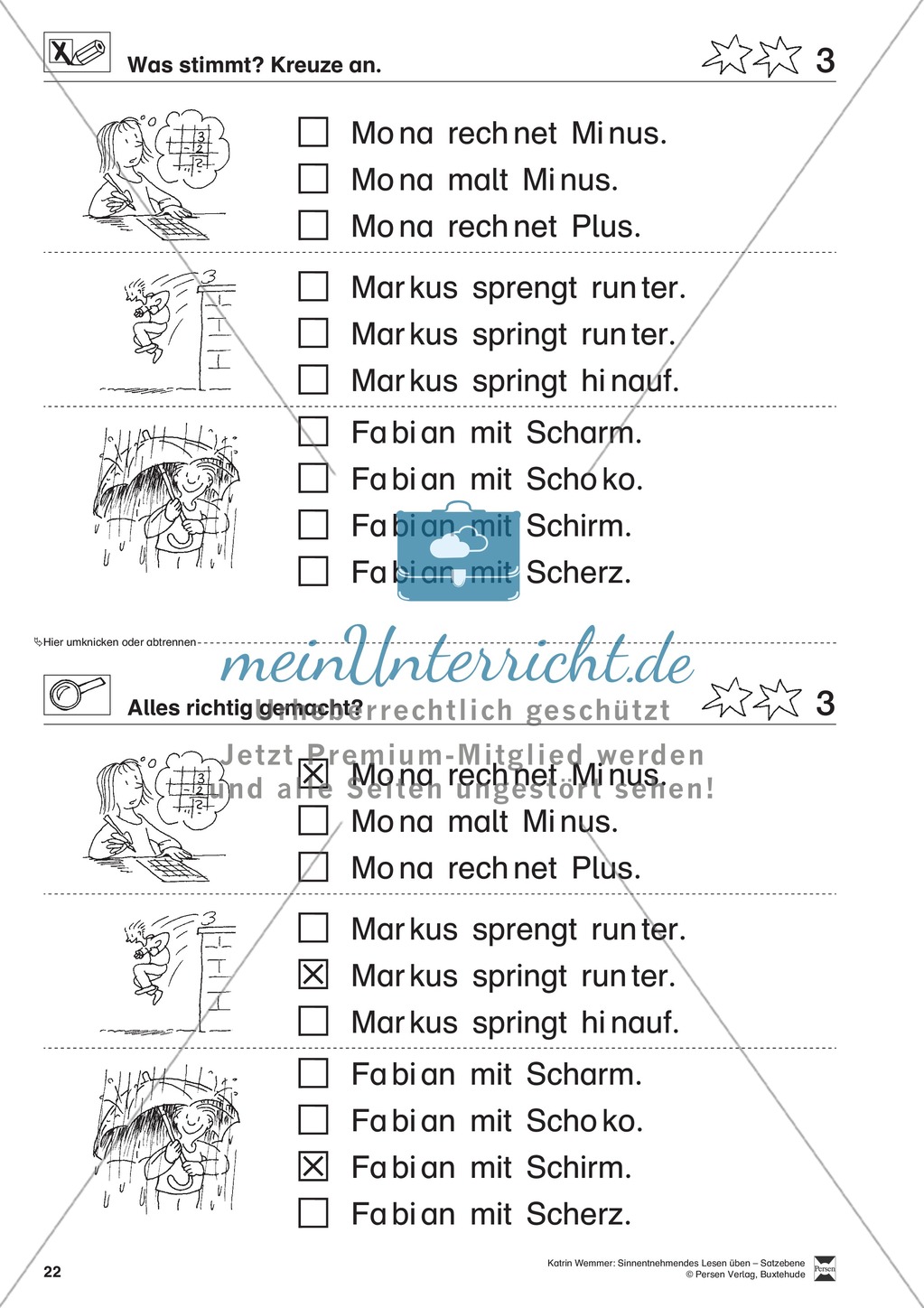 Sinnentnehmendes Lesen üben - Satzebene: