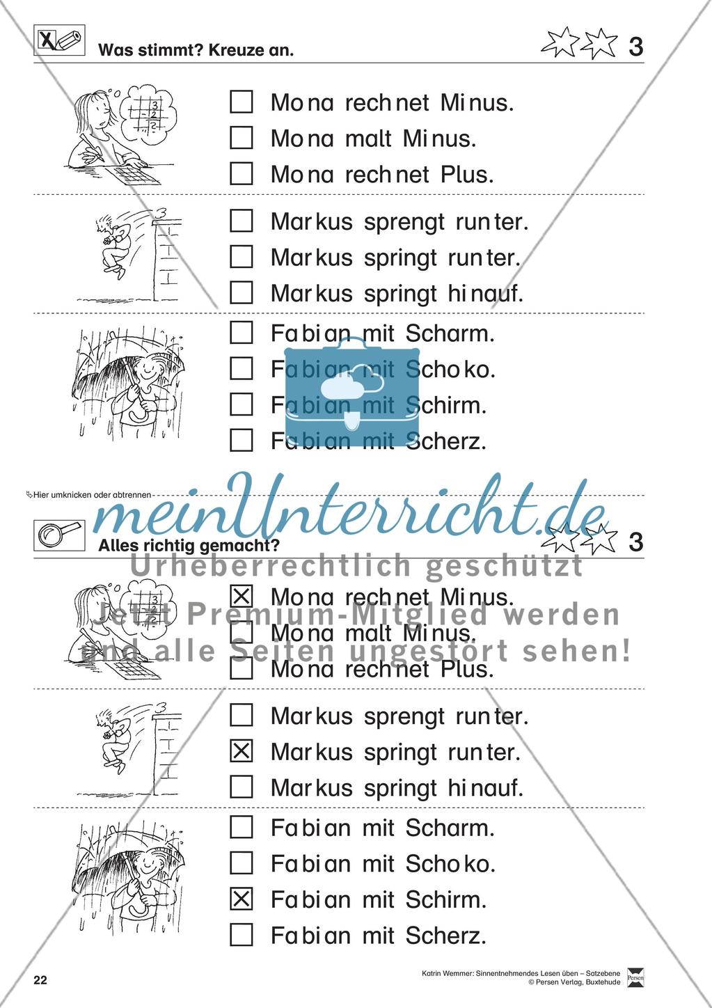 Sinnentnehmendes Lesen üben - Satzebene: