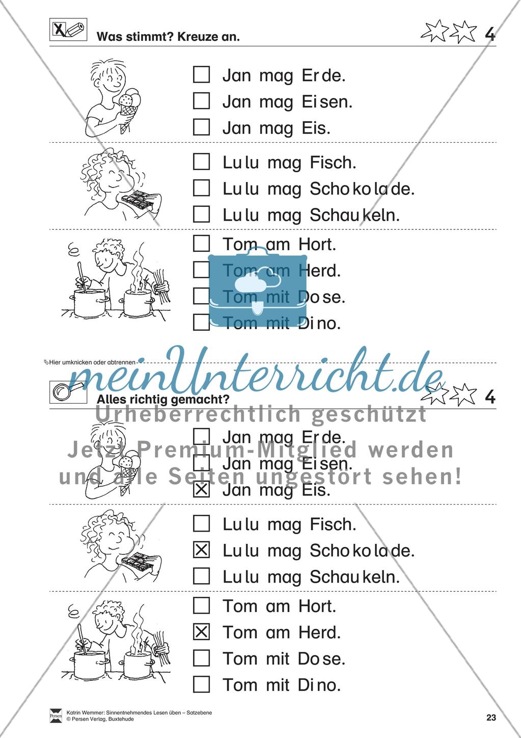 Sinnentnehmendes Lesen üben - Satzebene: