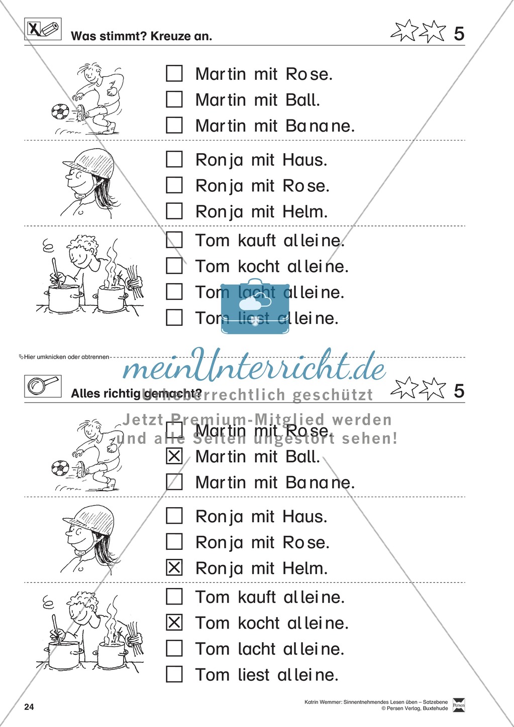 Sinnentnehmendes Lesen üben - Satzebene: